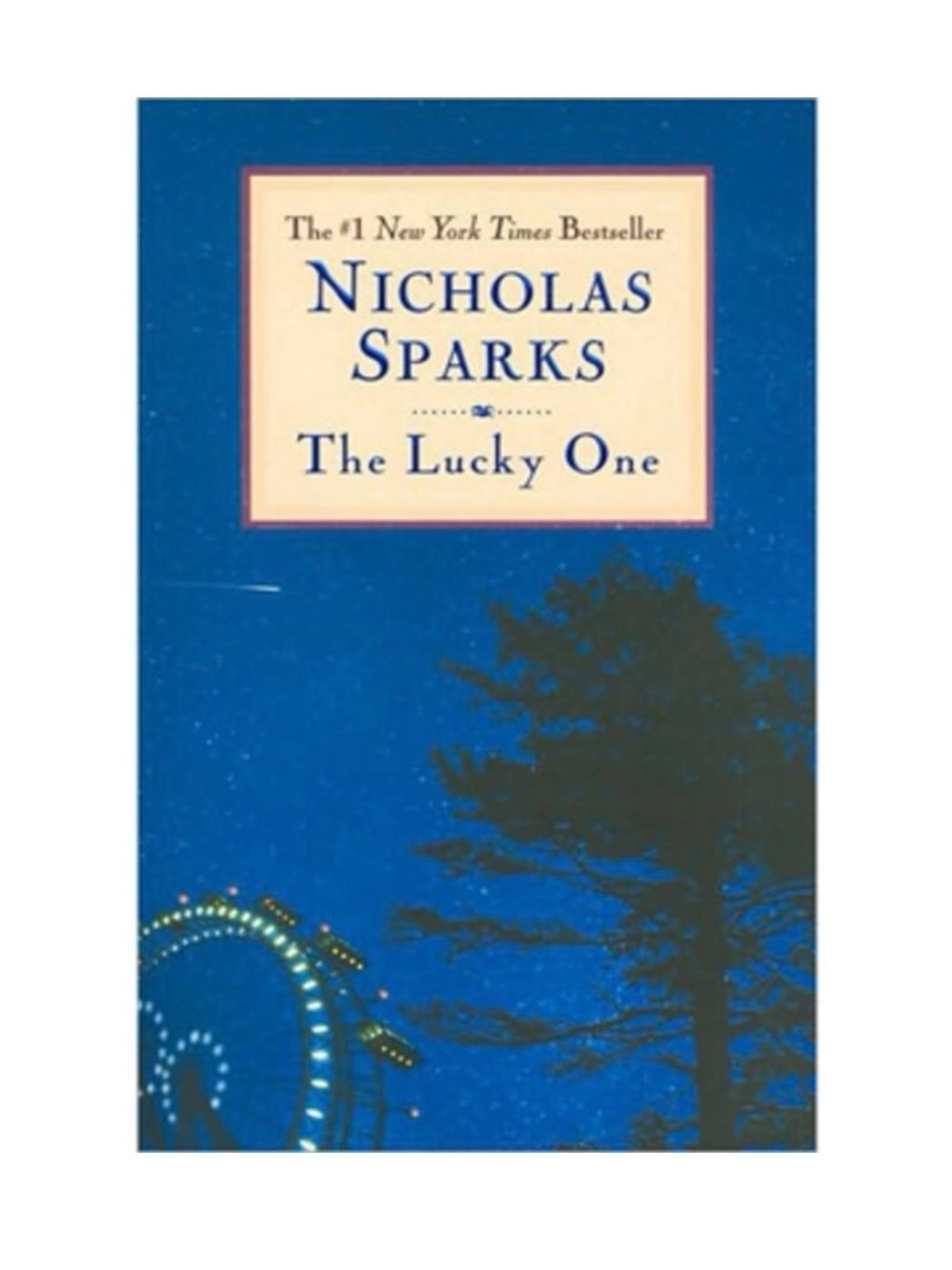 Y2K The Lucky One Nicholas Sparks Hachette Blue Paperback Fiction Young Adult